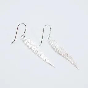 Silver Fern Earrings